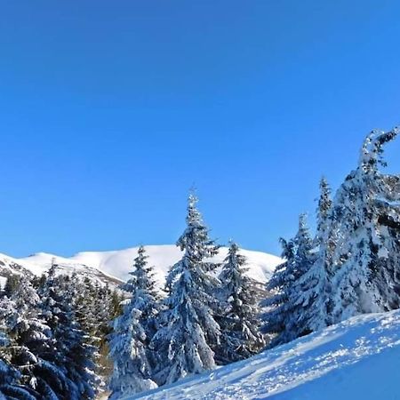 Stara Planina Vila Vesela Kuca Jalovik Izvor Buitenkant foto