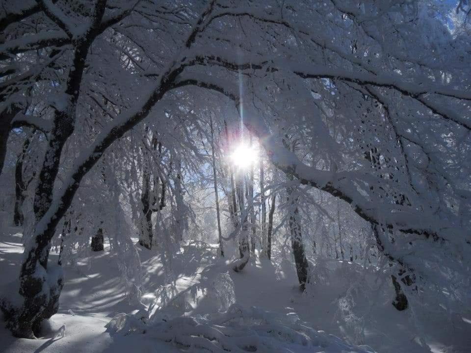 Stara Planina Vila Vesela Kuca Jalovik Izvor Buitenkant foto