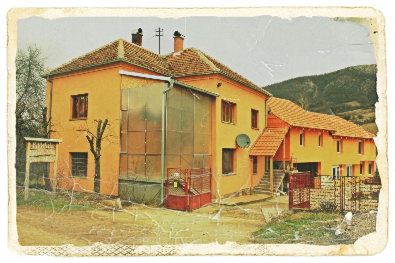 Stara Planina Vila Vesela Kuca Jalovik Izvor Buitenkant foto